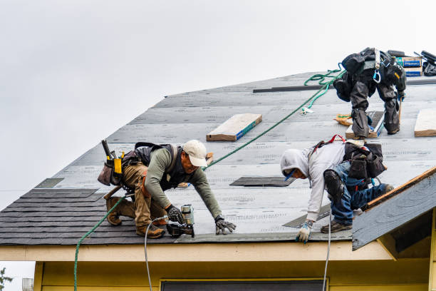 Professional Gutter Installation technician working in Ong, NE